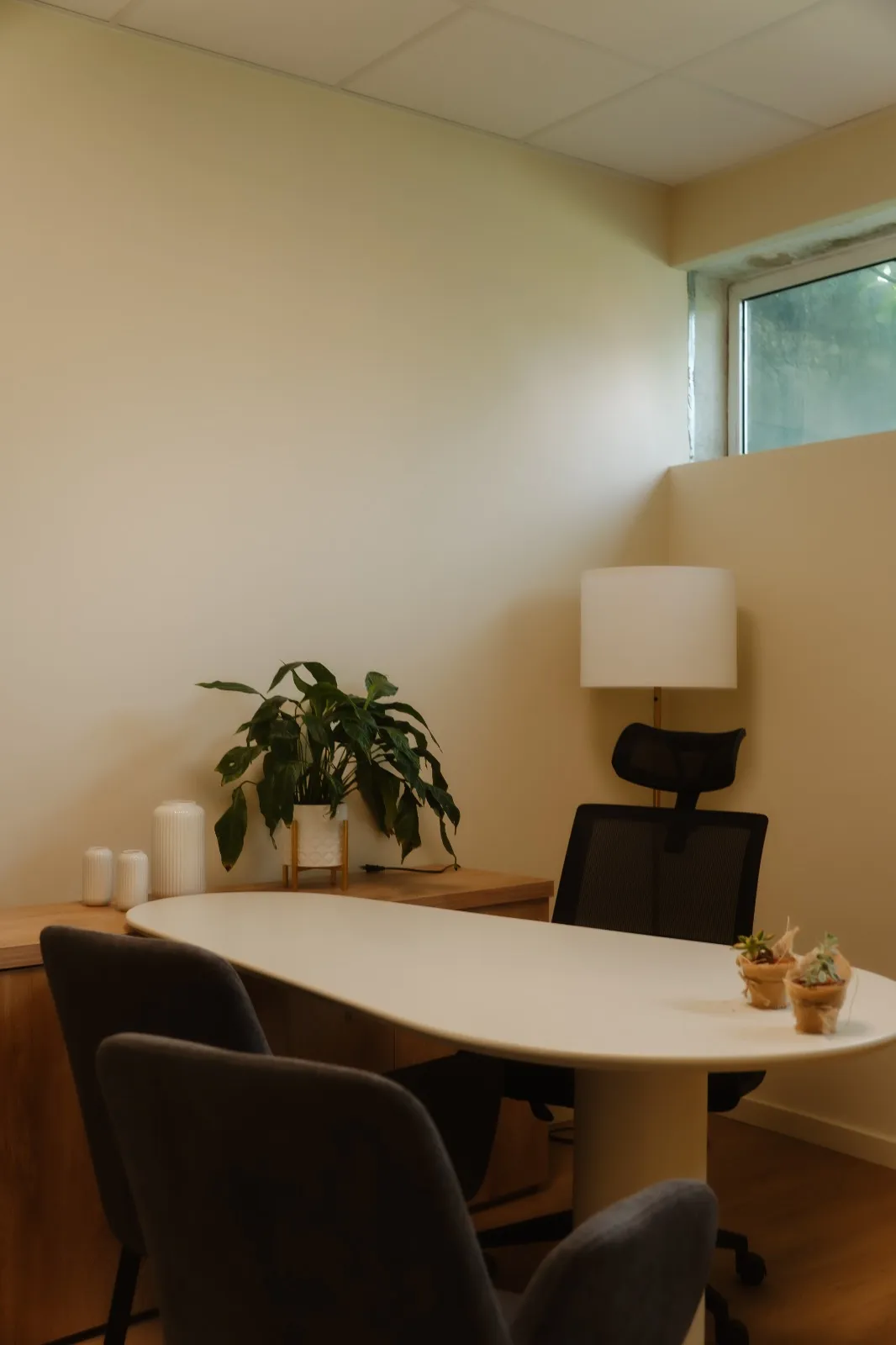 Mesa de consulta com pequenos vasos de plantas e luz natural da janela